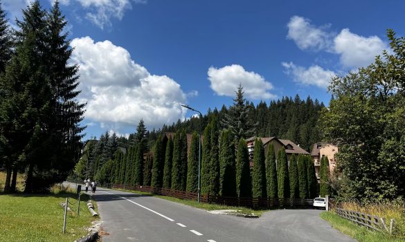 Vila de vanzare in Poiana Brasov Image